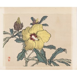 Kōno Bairei (1844-1895), Il fiore giallo, pubblicato da Yamada Shinzaburo, Kyoto/Giappone, 1913.