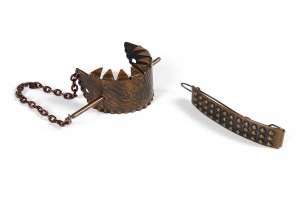 Barrettes à cheveux