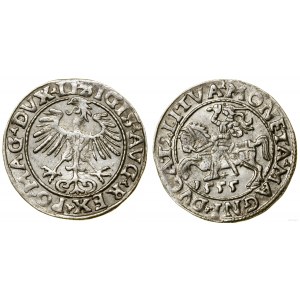 Polska, półgrosz, 1555, Wilno
