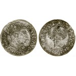 Poland, penny, 1557, Gdańsk
