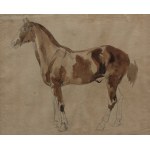 Piotr Michalowski, Study of a horse