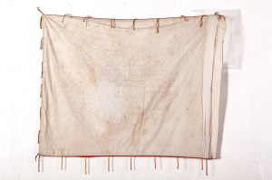 THE 1955 model banner