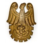 SET SERVICE TO POLAND. 20 BRIGADE ,,SP Set of badges and ID cards