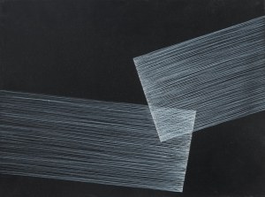 Anna Szprynger (ur. 1982), Czarne (4), 2014
