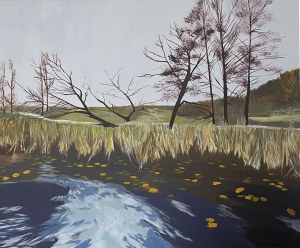 Agnieszka Dziklińska, Jezioro Czos 4