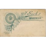 Wadowice, Gach J. - Małżeństwo, ok. 1900.