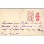 Lwów, Henner B. - Kobieta, ok. 1900.