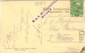 Synowódzko, Skole - General view, ca. 1915.