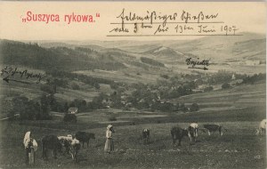Rykov's Sušice - General view, 1907.