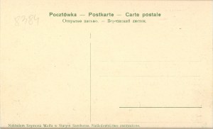 Rykov's Sušice - General view, 1907.
