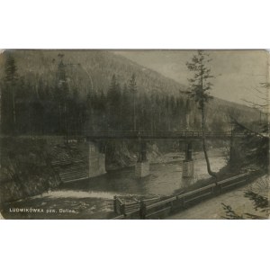 Ludwikówka, pow. Dolina, 1930.