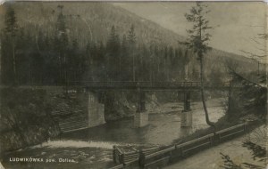 Ludwikowka, Dolina district, 1930.