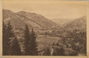 Kosiv - Dr. Tarnawski's clinic, Kosiv area: Yavorov, ca. 1925.