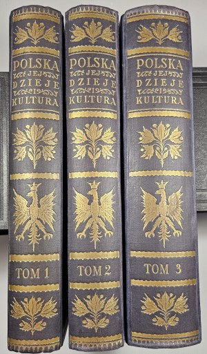Poland, its history and culture from the earliest times to the present. Vol. 1-3. W-wa 1927-28. Trzaska, Evert and Michalski. Font. Druk. Narodowa in Cracow. Rare navy blue version of the publisher's binding. An impressive piece.