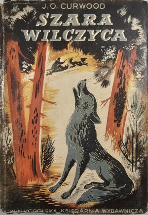 Curwood James Olivier - The Grey Wolf. A novel. [Poznan] 1948 Wielkopolska Księgarnia Wydawnicza. The cover was designed by J. M. Szancer.
