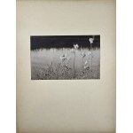 Bułhak Jan - Kresy. Powiat oszmiański. Polska w obrazach fotograficznych.