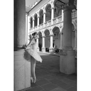 Dimitry Savchenko, White swan in the palace