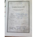 Grzegorz Ptak, Logo del PCC