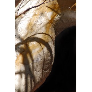 Joanna Klich, Nude from the Masquerade series