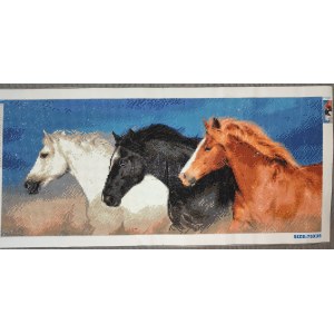 Ewa Myćkowska, l. 12, Horses