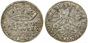 Poland, grosz, 1545, Krakow