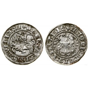 Polonia, mezzo penny, 1511, Vilnius