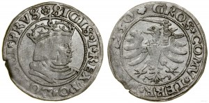 Poland, penny, 1530, Torun