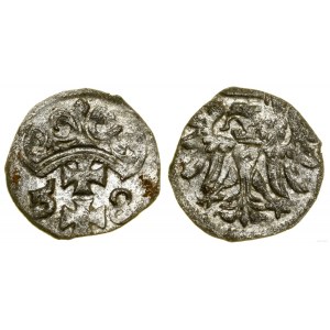 Polska, denar, 1558, Gdańsk