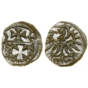 Polska, denar, 1554, Elbląg