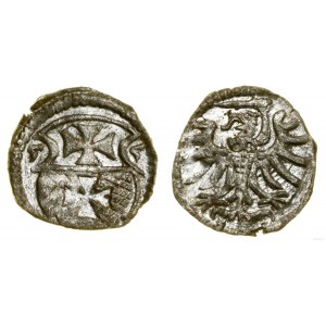 Polska, denar, 1555, Elbląg