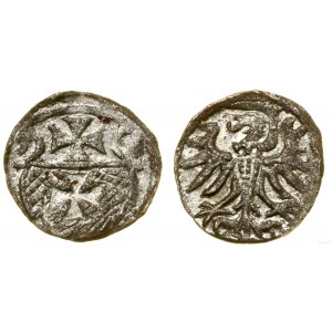 Polska, denar, 1556 (?), Elbląg