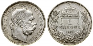 Hungary, 1 crown, 1896 KB, Kremnica