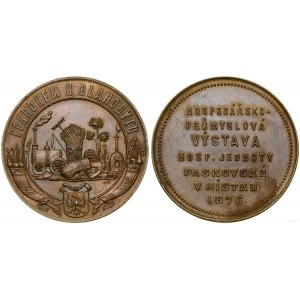 Bohemia, commemorative medal, 1876