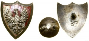Poland, patriotic badge, Piotrogód
