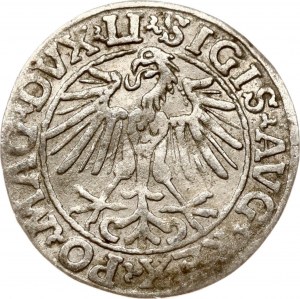 Lituanie Polgrosz 1548 Vilnius