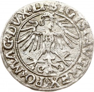 Lituanie Polgrosz 1551 Vilnius