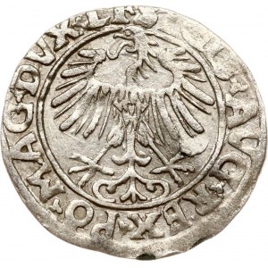Lithuania Polgrosz 1556 Vilnius