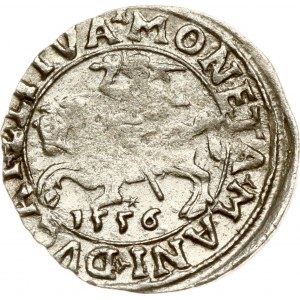 Litva Polgrosz 1556 Vilnius MANI (RR)