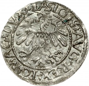 Litva Polgrosz 1560 Vilnius L/LITV
