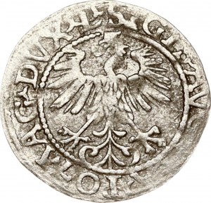 Litva Polgrosz 1560 Vilnius