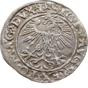 Litva Polgrosz 1560 Vilnius
