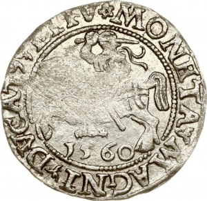 Litva Polgrosz 1560 Vilnius (R)