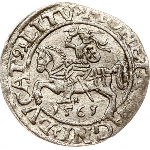 Lithuania Polgrosz 1561 Vilnius