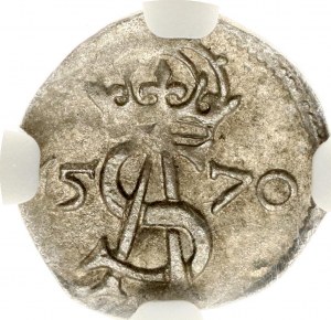 Lituanie Dwudenar 1570 Vilnius NGC MS 62