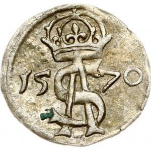 Litauen Dwudenar 1570 Vilnius
