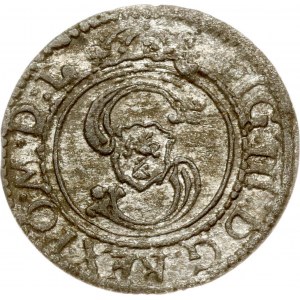 Lithuania Szelag ND (1624) undated Vilnius (R4)