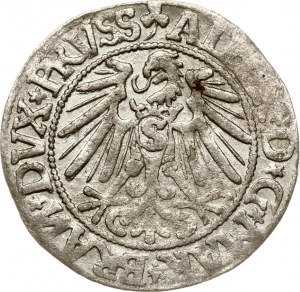 Poland Prussia (under Poland) Grosz 1545 Konigsberg