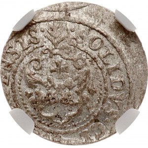 Polska Szeląg 1621 Ryga (R) NGC MS 63