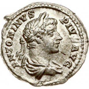 Roman Empire Denarius ND (205)