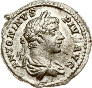 Roman Empire Denarius ND (205)